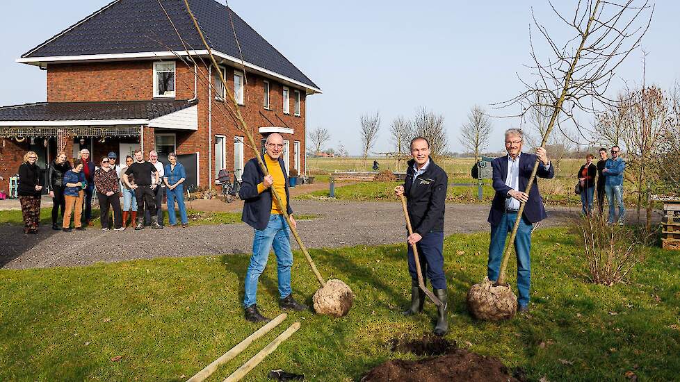 Mooi Heem, deel 2: nieuwe beplanting op Noord-Groninger boerenerven
