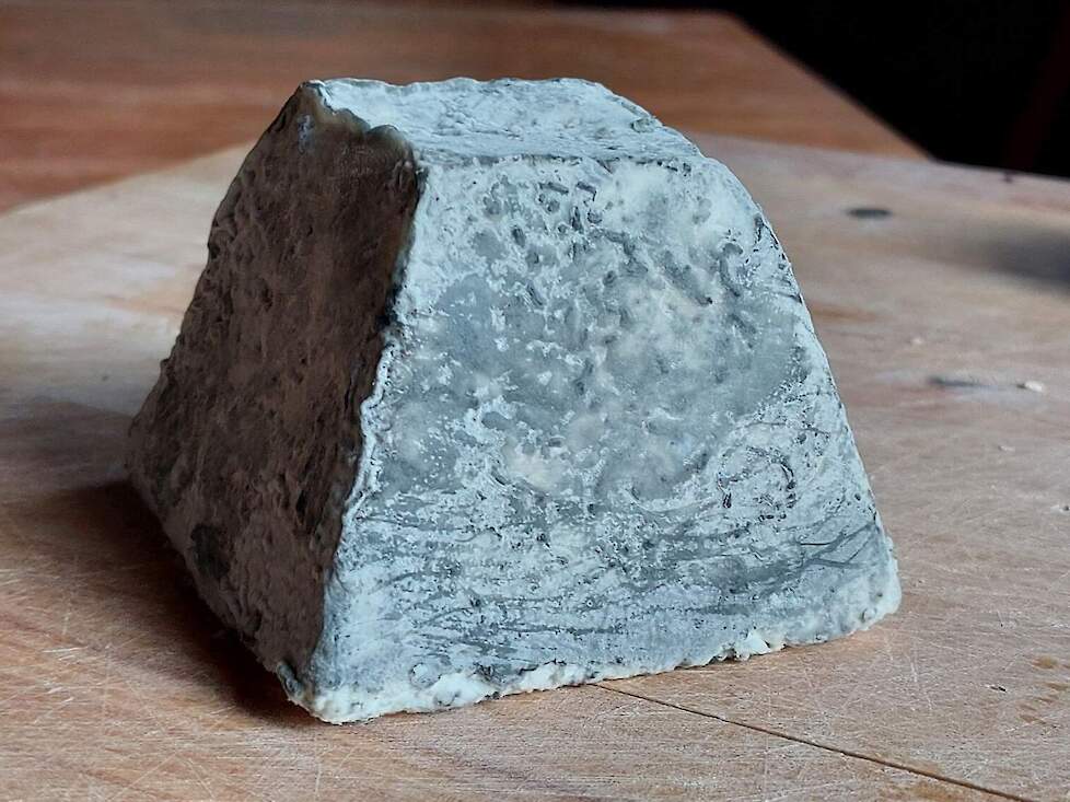 Witschimmelkaas 'de Swarte Toer'