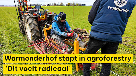 Warmonderhof stapt via innovatief boslandbouwsysteem in agroforestry: 'Dit voelt radicaal'